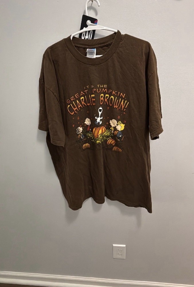 Peanuts Men’s Brown Great Pumpkin Charlie Brown Crew Neck T-Shirt Size XL