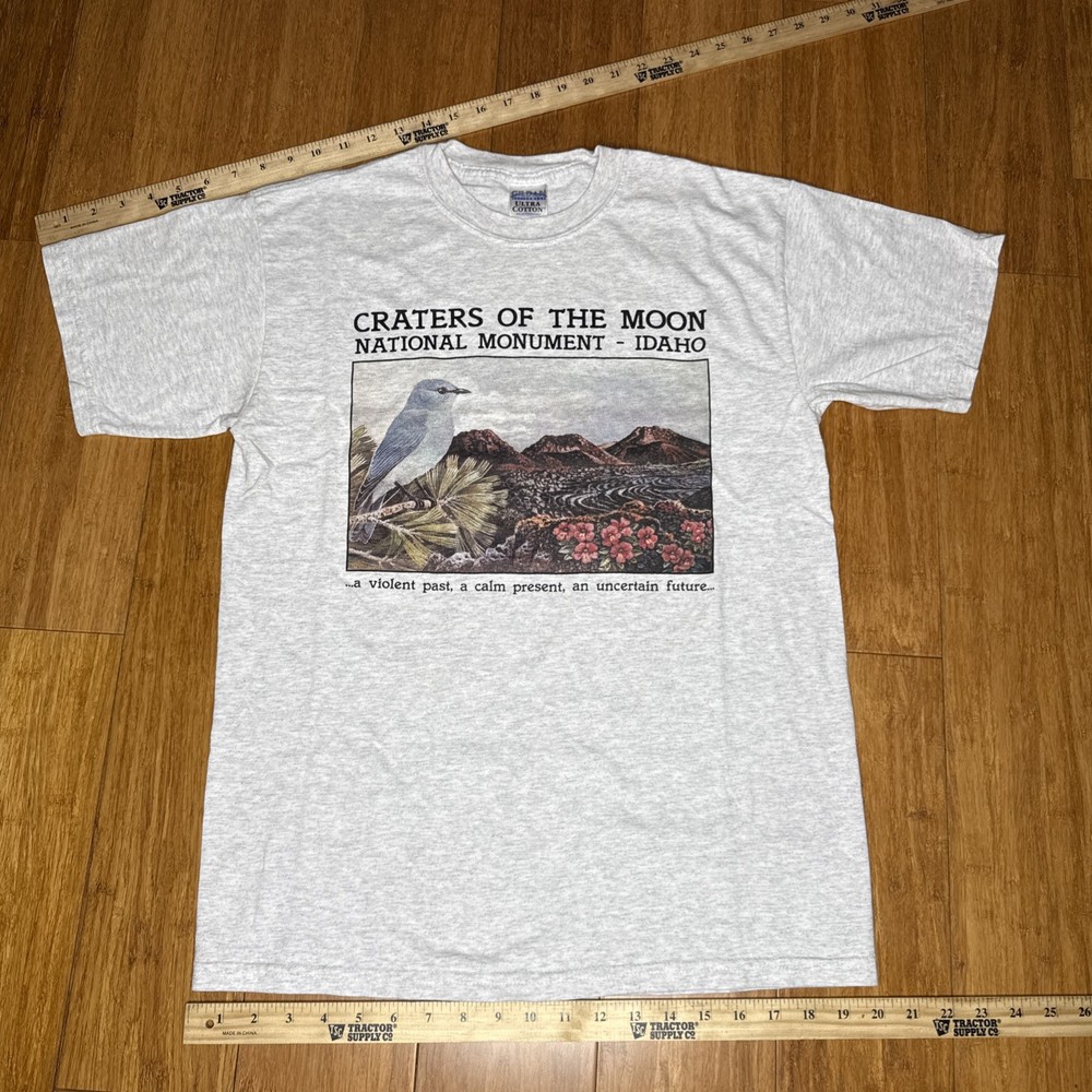 Craters Of The Moon National Monument Idaho Y2K Scenic Bird T Shirt Size Medium