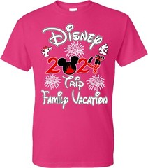 Disney Family Vacation 2024 fire works, Mickey, Minnie, Family Trip, Squad