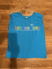 Vintage Velva Sheen URI T Shirt Mens XL Blue Rainbow Checkerboard Rhode Island