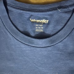 Wrangler Retro T-Shirt Mens M Blue Desert Sunset Cactus Graphic Tee EUC