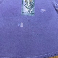 Vintage Y2K Chasing Dragons Floral Rose Nature Art Graphic T-Shirt USA – Large