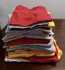 Bulk Blank T-Shirts Lot – Gildan Softstyle 64000 – 40 Units – Mixed Sizes – New