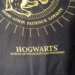 Wizarding World Harry Potter Hufflepuff Black T-shirt Medium Hogwarts School