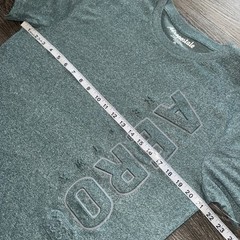 Aeropostale Men’s Medium Raised Logo T-shirt Sagebrush Green Marled