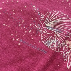 Vintage Cape May Shirt Mens Large Pink Shell Beach Graphic Hanes Tee T-Shirt USA