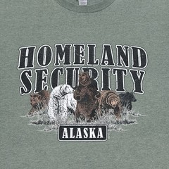 Gildan Homeland Security Alaska Graphic T-Shirt Men’s Size (See Photos) Green