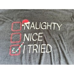 Holiday Time Mens XL Gray Naughty Nice I Tried Christmas Graphic T-Shirt Heather