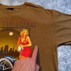 Harley Davidson Classic Models Pinup Girl T-Shirt Mens Large Brown Aurora CO