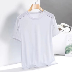 Men’s Ice Silk T-Shirt Summer Quick Dry Thin Sportswear Shirt For Gym Fitness