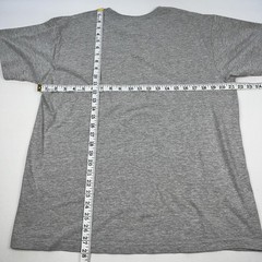 Philadelphia Eagles 1933-2018 Priceless T Shirt Size Large Gildan Hammer Gray