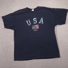 Vintage Arizona Jean Co Shirt Mens XL Blue USA Flag 2001 Patriotic Graphic Tee