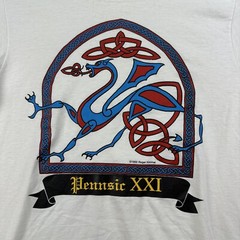 VTG Pennsic XXI Celtic Design Shirt – Sz M – Stained Singled Stitch See Pics