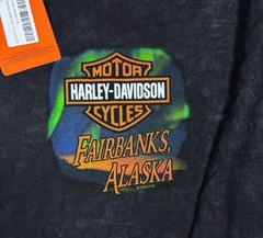 Harley Davidson Long Sleeve Shirt Fairbanks Alaska Northern Lights Mens L NWT