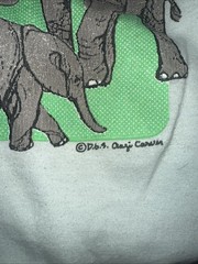 1990’s Vintage Animal Nature Tee Shirt – Sleeveless Large 21×26
