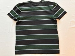 AMI Paris Blue and Green Striped T-shirt