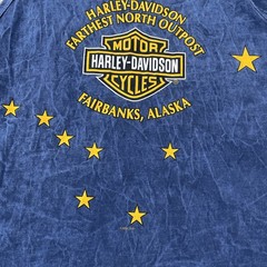 Vtg Y2K Harley Davidson Tank Top Blue Acid Wash Men’s Large L Fairbanks Alaska