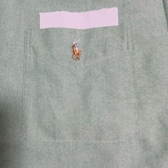 Ralph Lauren BLAKE Cotton Button-Down Shirt S Light Green For 14Y+ Japan