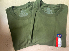 Pack of 2, OD Green, Fruit of The Loom S/S Pocket T-Shirts – Small