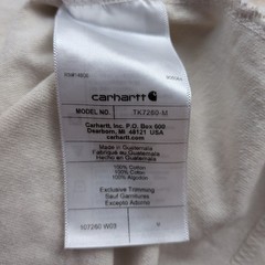 NEW Carhartt Relaxed Fit Heavyweight Long Sleeve T-Shirt Mens M Mountain Graphic