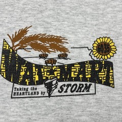VTG Walmart T-Shirt – Taking The Heartland By Storm – Mens 2XL Tee – Local 6035