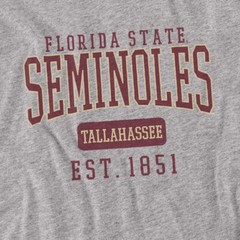 Florida State Adult T-Shirt FSU Seminoles Official Date, Heather Grey S-5XL
