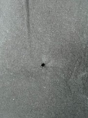 Lorenzo’s Mexican Restaurant T-Shirt Mens L Port & Company PC61 Chingon Fiesta