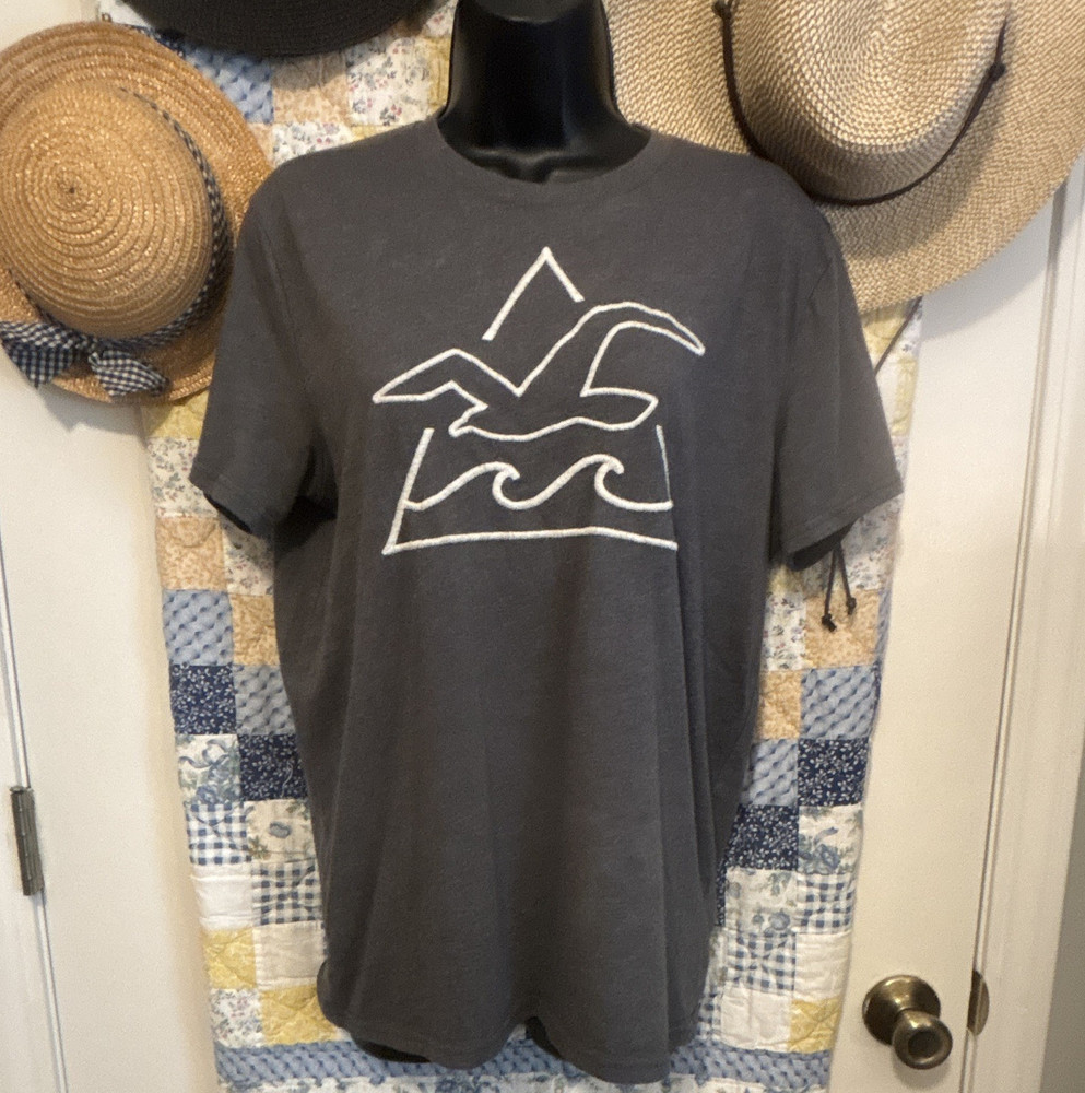 Hollister Men’s Gray Graphic Print Crew Neck Short Sleeve T-Shirt Size M