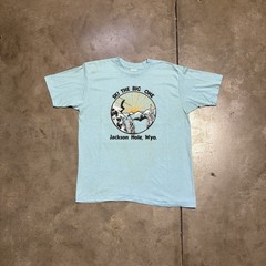 Vintage 80s Jackson Hole Wyoming T Shirt Men M Blue Ski Outdoor Nature Art USA