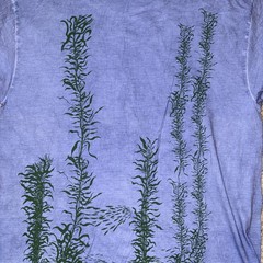 NWT Local Color Art Clothes Adult L Hand Dyed Single Stitch T-Shirt Whales Maui