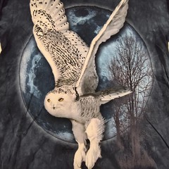 The Mountain Owl Long Sleeve Casual Graphic T Shirt Adult Mens Size L Blue