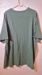 Vintage Delta Pro Weight “I Tried It At Home” Graphic T-Shirt Green Size 2XL