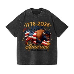 Patriotic 250th Anniversary Buffalo Washed T-Shirt – 1776-2026 USA Tee