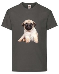 Pug Dog Pet Friend Family Novelty T Shirt Various Colours And Sizes