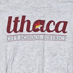 Ithaca City School District Graphic T Shirt Adult XL Gray L/S 6,000+ Thinkers