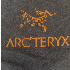 Vintage ARC’TERYX Dark Blue Red Logo T Shirt Tee Men’s XL Gorpcore RACK T50