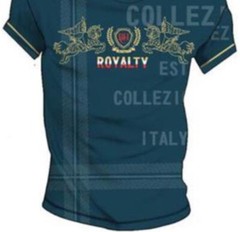 Men’s Bucheli Cotton T Shirt,Italian Style,Slim Fit,Stretch M…..A10.A