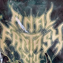Square Enix Final Fantasy XIV Fan Fest Limited T Shirt XL Exclusive Edition