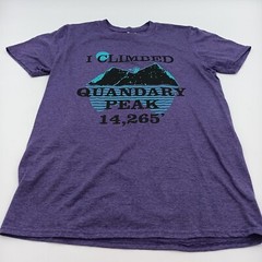 Gildan T Shirt Mens Small Purple I Climbed Quandary Peak Graphic Tee