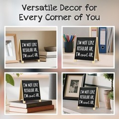 Funny HR Gifts for Human Resources Professionals, I’m Not Like Regular black
