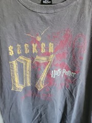 HARRY POTTER Seeker 07 UNIVERSAL ORLANDO Graphic T Shirt Charcoal Gray Medium