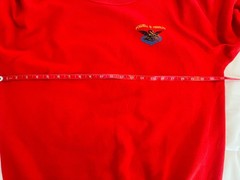 Lance Mountain’s Vintage OG Powell Peralta Banner Dragon Skateboard Sweatshirt