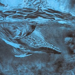 Ocean Whales Shirt Adult 2XL XXL Blue Graphic All Over Screen Print Mens