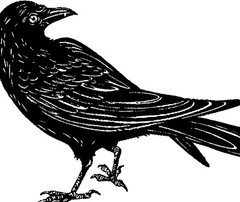 Crow Women’s T-Shirt Hand Print Dual-Blend Tee Raven Shirt Eco Fashion Shirt