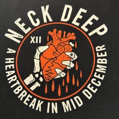 Neck Deep Band Black M T-Shirt Heartbreak In Mid December Album Promo Tour Music