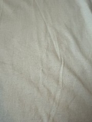 Vintage Pendleton Short Sleeve T-Shirt Size Large Beige Tan