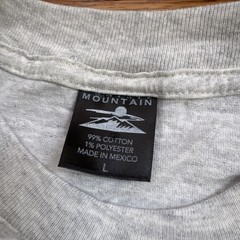 2000s Retro Mountain Sol Duc Hot Springs Resort Men’s T-Shirt Gray L Long Sleeve
