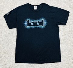 TOOL Los Angeles California Band Tee Alex Grey Flaming Eye Graphic Shirt Large