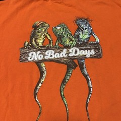 Vintage Graphic T-Shirt Iguanas Double Sided Men’s Large Heavyweight Cotton