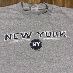 Vintage New York Shirt Mens Large Gray NY Boroughs Graphic Tee Delta Pro Weight